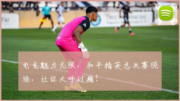 电竞魅力无限，和平精英总决赛现场，让你大呼过瘾！